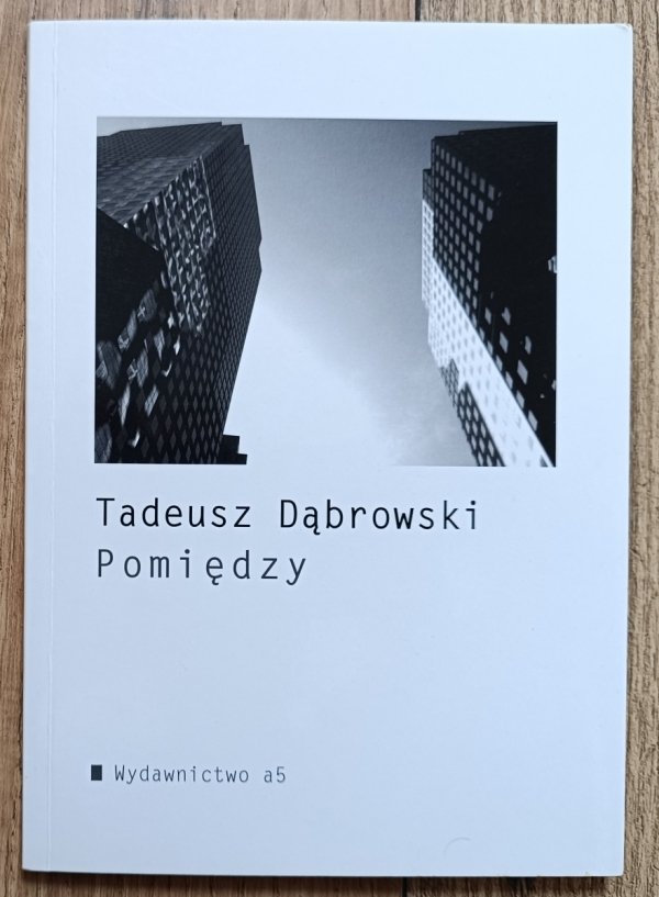 Tadeusz Dąbrowski Pomiędzy