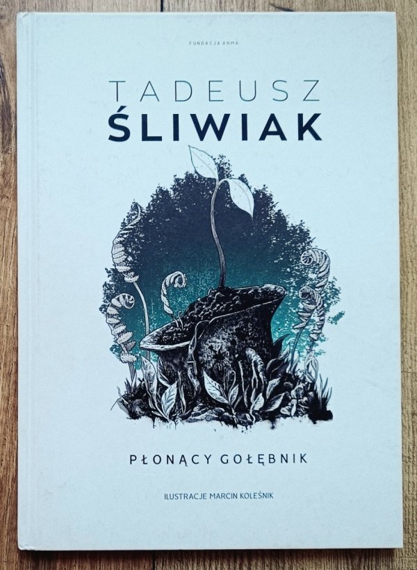 Tadeusz Śliwiak Płonący gołębnik