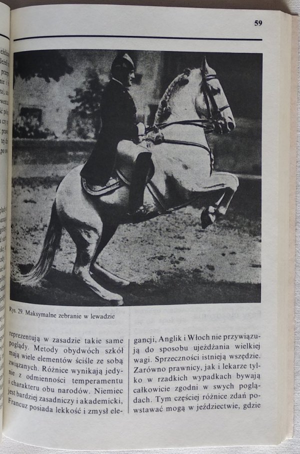 Wilhelm Museler • Nauka jazdy konnej
