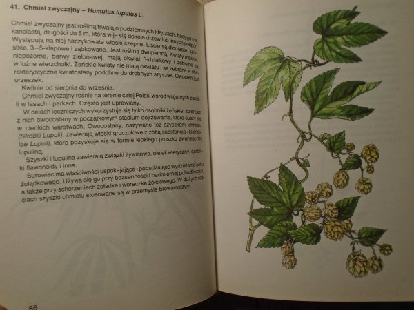 Jan Macku, Jindrich Krejca • Atlas roślin leczniczych