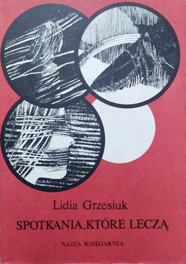 Lidia Grzesiuk Spotkania, które leczą. Doświadczenia z psychoterapii młodzieży