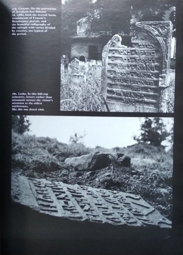 Monika Krajewska • A Tribe of Stones. Jewish Cementaries in Poland