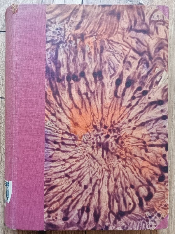 Mieczysław Fularski Argentyna - Paragwaj - Boliwia. Wrażenia z podróży / 1929