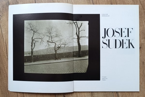 Josef Sudek: I Grandi Fotografi, Serie Argento