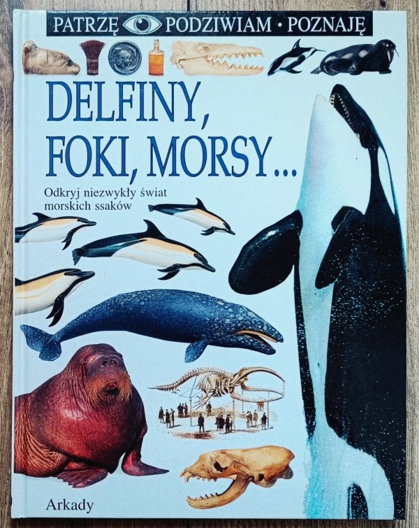 Delfiny, foki, morsy. Patrzę Podziwiam Poznaję