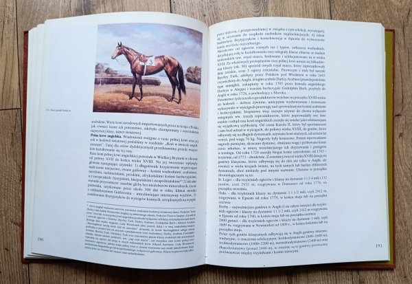 Jan Grabowski Hipologia dla wszystkich