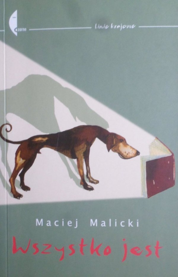 Maciej Malicki • Wszystko jest