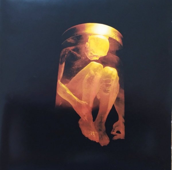 Alice in Chains Nothing Safe CD