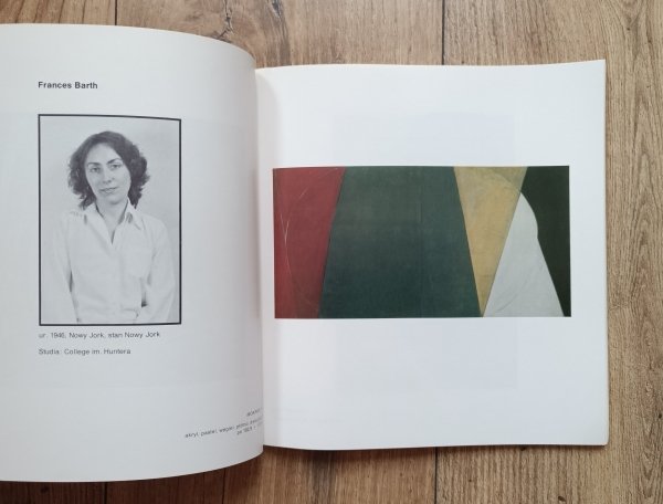 Malarstwo amerykańskie lat osiemdziesiątych: krytyczna analiza Barbary Rose