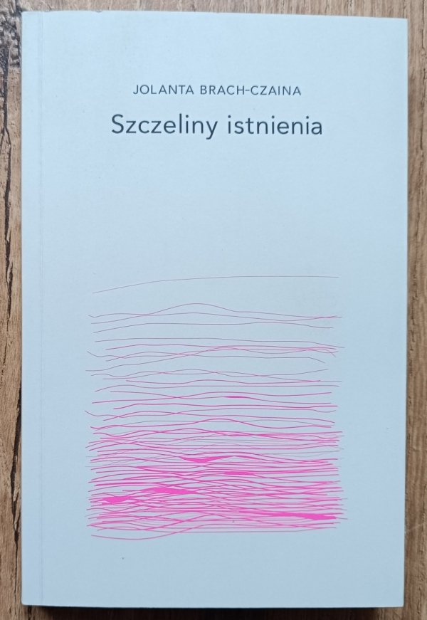 Jolanta Brach-Czaina Szczeliny istnienia