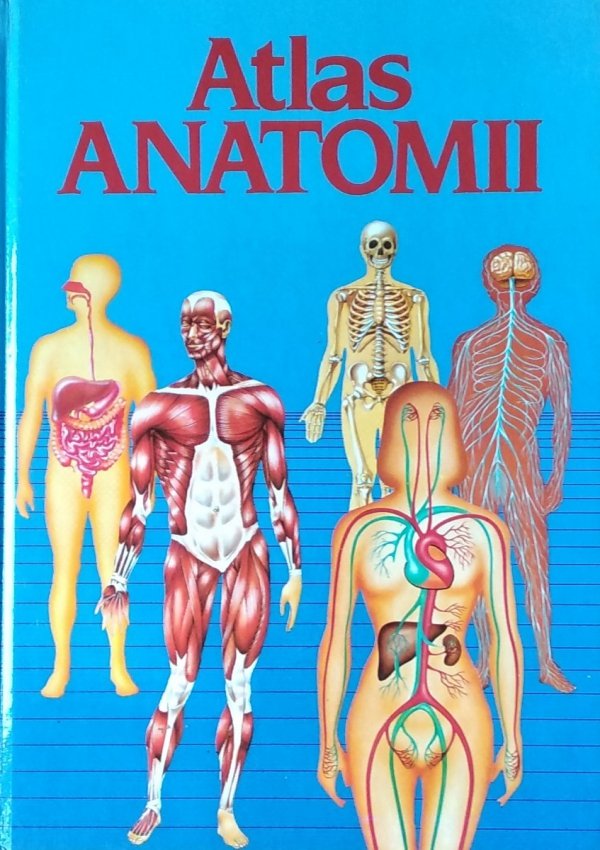 Barnabe Ortega • Atlas anatomii