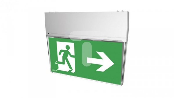 Oprawa awaryjna SK-8 LED 1,2W 1h dwuzadaniowa PT biała / opal SK8/1,2W/C/1/SA/PT/WL