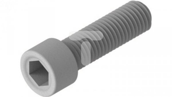 Śruba stal kwasoodporna SAM8x30E do BUF35 PUF 898531 / 898530