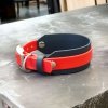 Obroża dla CHARTA S (30 - 35 cm) oryginalny BIOTHANE® 38mm