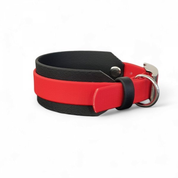 Obroża dla CHARTA S (30 - 35 cm) oryginalny BIOTHANE® 38mm