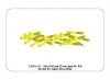 Aber 350L-23 Set of 20 pcs 25 mm type 96 A/A barrels for Japan ships (1:350)