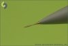 Master AM-72-023 Dassault Mirage 2000 Pitot Tube