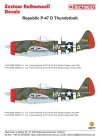 Techmod 32011 - Republic P-47D Thunderbolt (1:32)