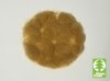 Model Scene 004-07 Grass-Flock 4,5 mm - Beige 50g