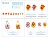 Quinta Studio QM16006 USSR Defense Societies and Red Army badges (1930s-1940s) 1/16