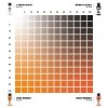 AK Interactive AK1546 DUAL EXO SET 4 – 4A PURE ORANGE & 4B FADED ORANGE