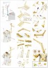 Pontos 37034FB USS BB-63 Missouri 1945 Advanced Detail Up Set for Hobbyboss Kit (Deck Blue 20B stained wooden deck) 1/350