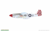 Eduard 11159 RED TAILS & Co. DUAL COMBO 1/48