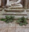 RT-Diorama 35612 Jungle Plant No.2 1/35