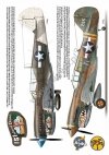 Kagero 7037 Curtiss P-40 F,K,L,M,N models EN/PL