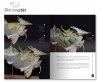 ABTEILUNG ABT715 THE SECRETS OF LEVIATHAN: SCULPTING & PAINTING TECHNIQUES (English)
