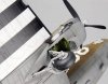 Trumpeter 02828 C-47A Skytrain (1:48)