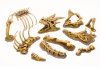 Paint Forge PFRB5001 Dragon Bones Big Set