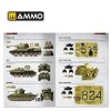 Ammo of Mig 6277 The Battle of KURSK (English)