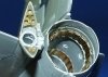 Eduard 32054 MiG-21MF exterior 1/32 Trumpeter