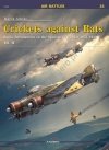 Kagero 12023 Crickets against Rats. Regia Aeronautica in the Spanish Civil War 1936-1937 vol. II EN