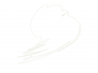 Hataka HTK-B101 Traffic White (RAL 9016)