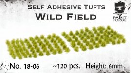 Paint Forge PFTU0618 Wild field 6mm