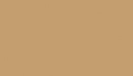 Lifecolor UA474 - Medium Tan 22ml