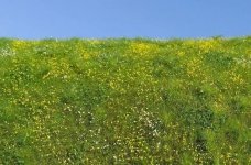 Model Scene F561 Blooming meadow - Spring 1/35