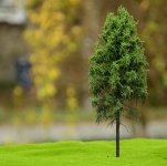 FREON MPW1 Larch - Modrzew pień wysoki (lesny) 18/20cm