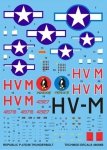 Techmod 48008 - Republic P-47D/M Thunderbolt (1:48)