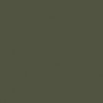 Vallejo 71410 AII Zashchitnyi Camouflage Green 17ml