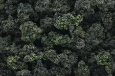 Woodland Scenics WFC1649 Forest Blend Underbrush 1L