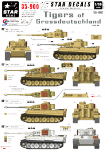 Star Decals 35-900 Tigers of Grossdeutschland 1/35
