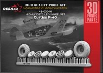 RESArm 48-03046 P-40 VAR 1 - Wheels under load (3D resin printing) 1/48