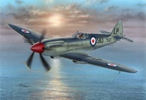 Special Hobby 72229 Supermarine Seafire Mk.45 (1:72)