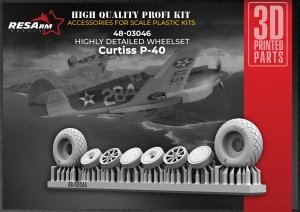 RESArm 48-03046 P-40 VAR 1 - Wheels under load (3D resin printing) 1/48
