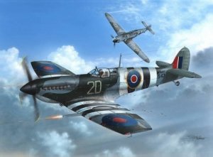 Special Hobby 48128 Supermarine Seafire Mk.III D-Day Fleet Eyes (1:48)