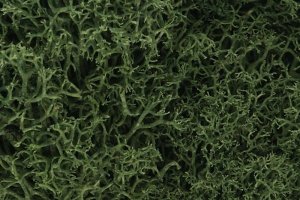 Woodland Scenics WL163 Lichen - Medium Green 1.4L