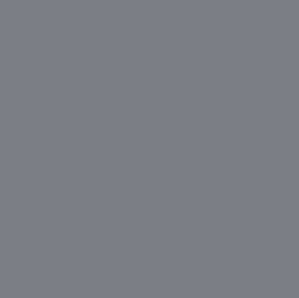 Gunze Sangyo C607 Mr Color JMSDF Gray
